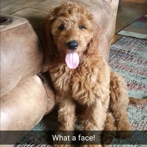 Meet your Posher, Deb